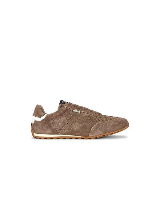 AllSaints Brown Liam Low Top for men