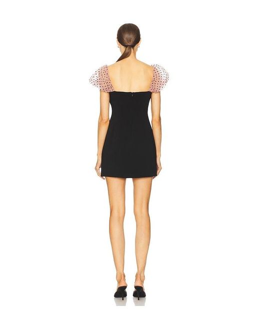 Stone Cold Fox Black X Revolve Nova Mini Dress