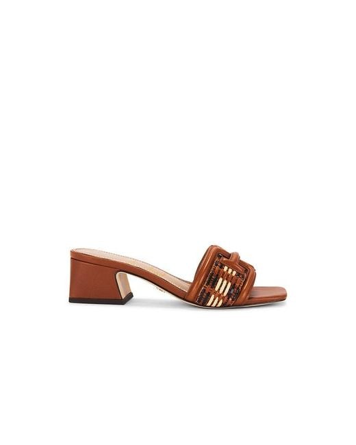 Sam Edelman Brown Waylon Sandal