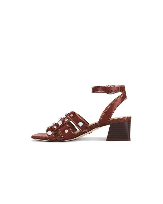 Sam Edelman Brown Wayla 2 Sandal