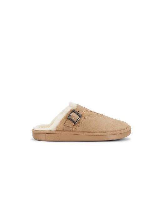 Brunch Gray Amour Suede Shearling for men
