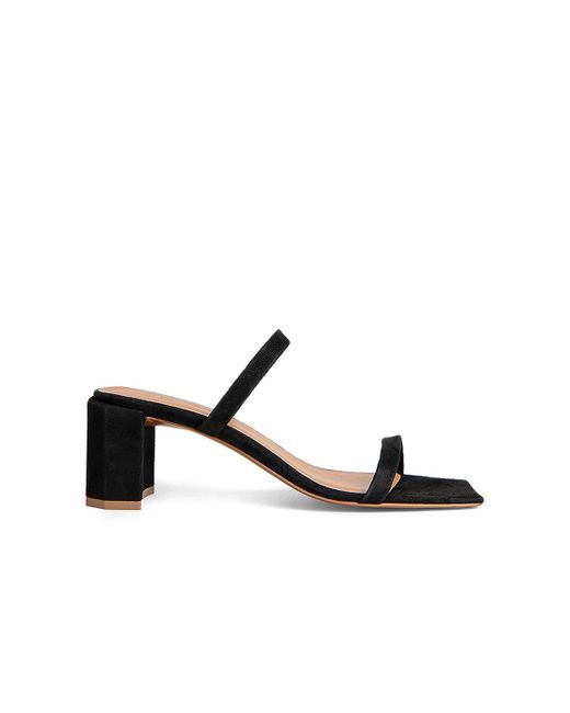 by far tanya mule