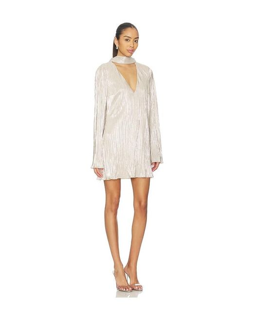 Lovers + Friends Natural Kit Mini Dress