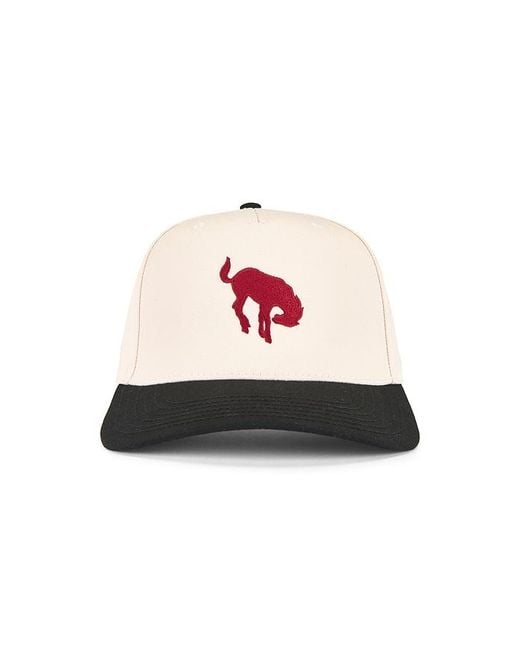 Darling Multicolor Kappe Horse