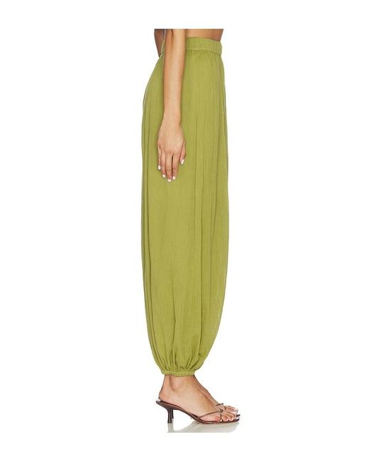 Rococo Sand Green Harem Pants