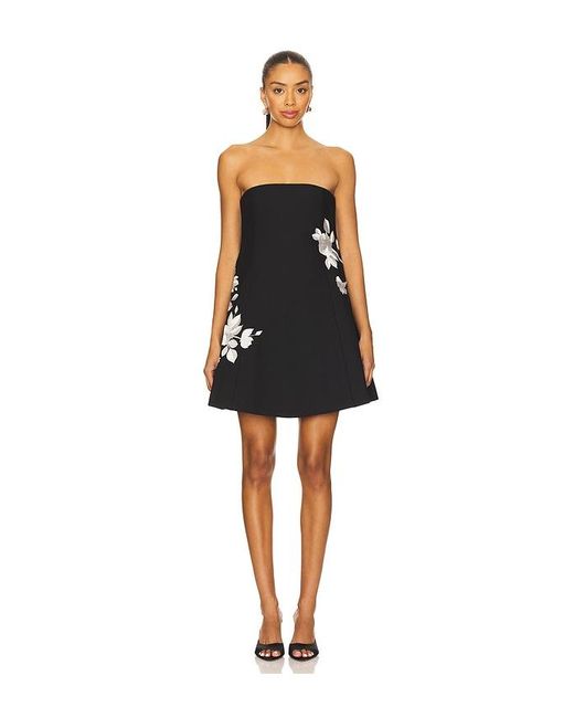 Cinq À Sept Black Minikleid Trailing