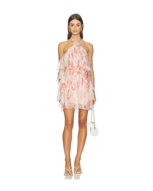 Astr Multicolor Ofra Dress