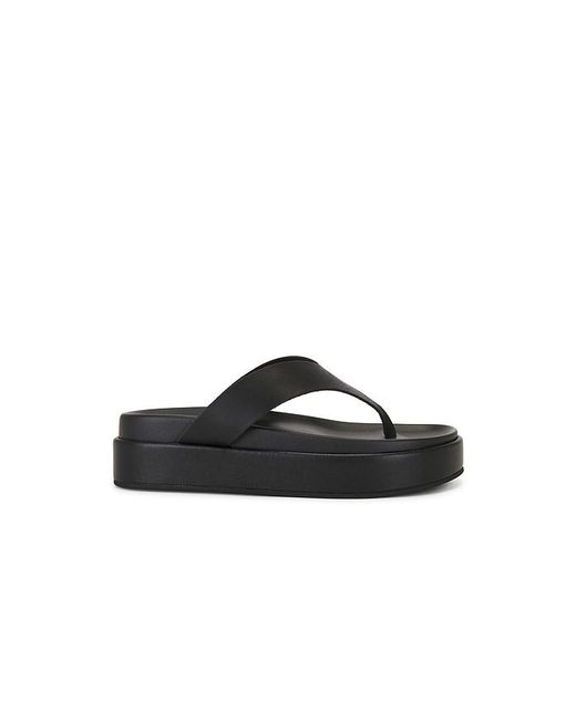 Tony Bianco Black Jetta Sandal