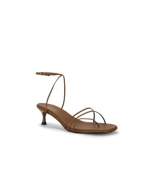 Raye Multicolor Jara Sandal