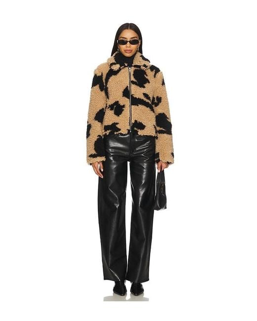 MSGM Brown Follow The Rabbit Jacket