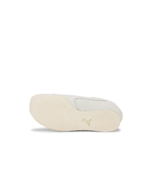 PUMA White X Guizio Speedcat