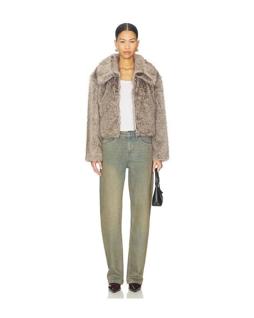 Lamarque Multicolor Jacke Nova