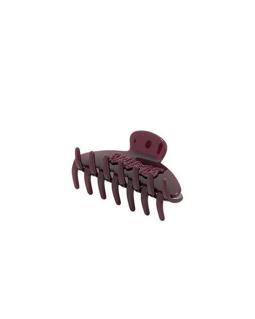 Skims Multicolor Clip