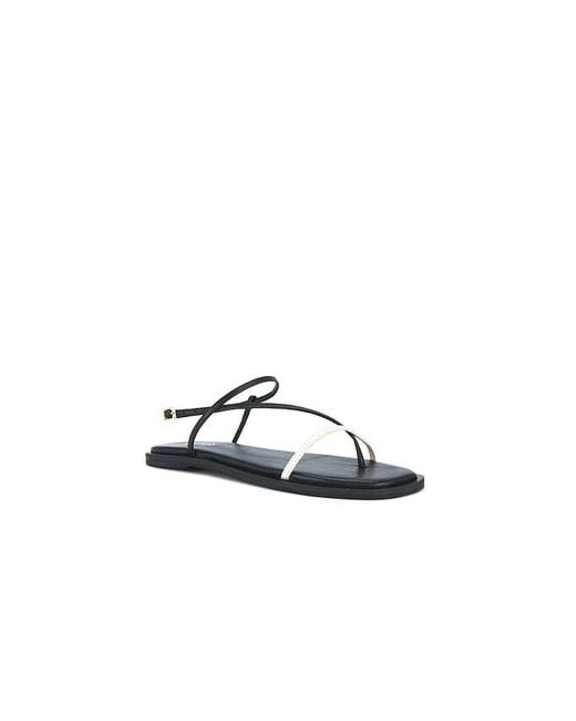 Kaanas Black Alayta Square Toe Sandal