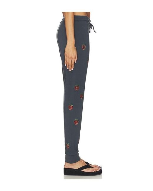 Lauren Moshi Blue Jess Lounge Pant