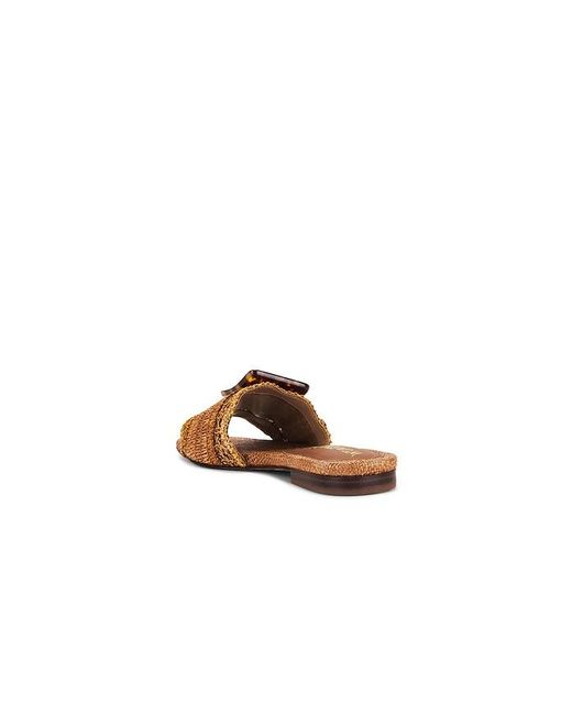 Sam Edelman Metallic Bambi Sandal