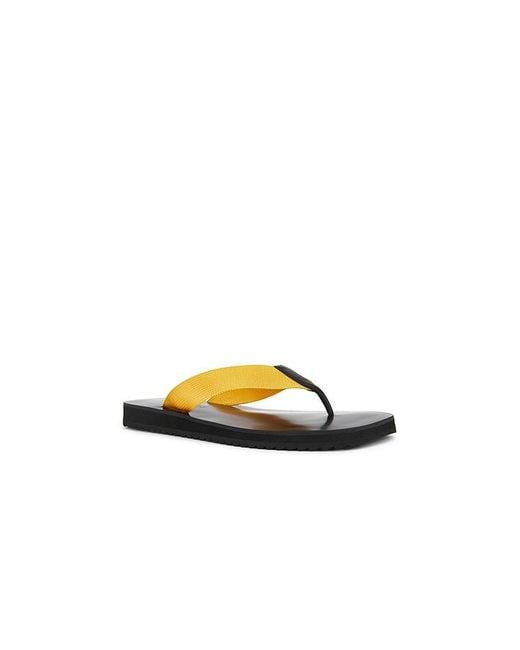Senso Yellow Flip Flops Xylon
