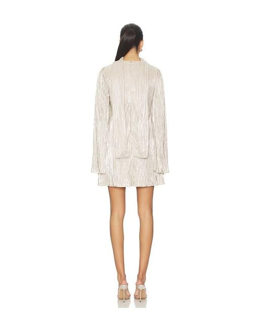 Lovers + Friends Natural Kit Mini Dress