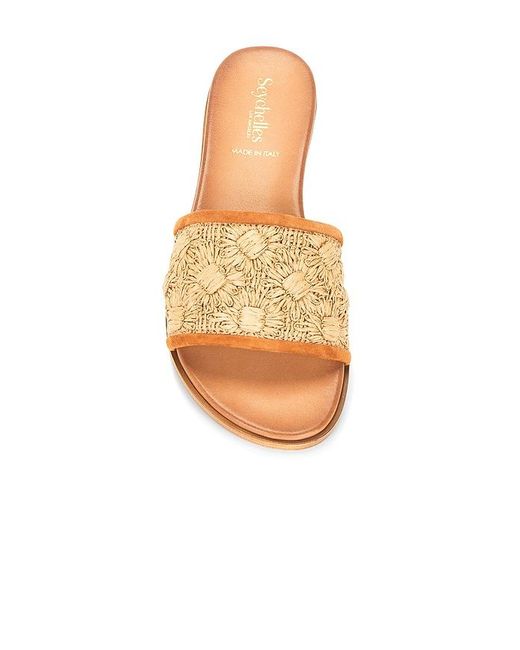 Seychelles White Dakota Sandal