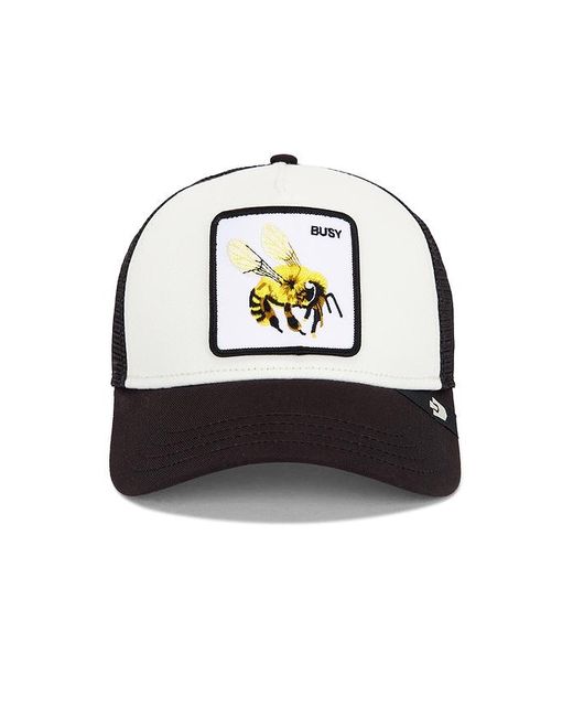 Goorin Bros Black The Busy Bee Trucker Hat for men