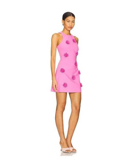Likely Pink Denny Dress