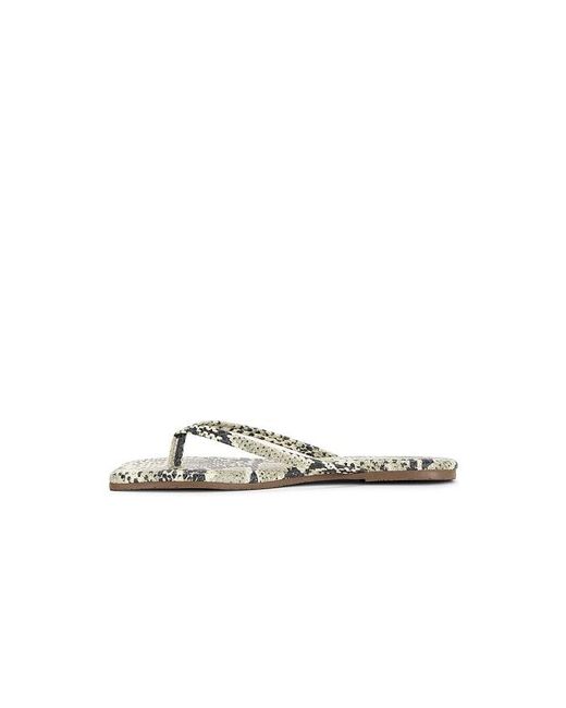 TKEES Multicolor Square Toe Lily Sandal