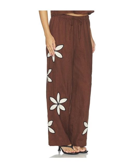 Rails Brown Emmie Pant