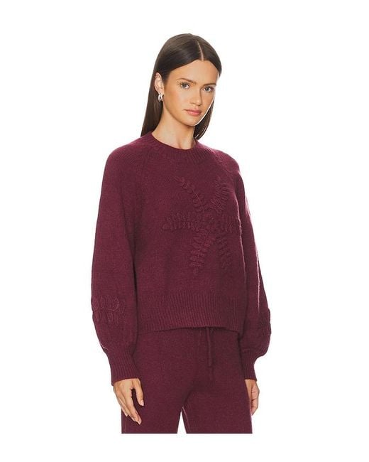 SNDY'S Purple Jumper Maja Knit