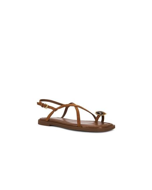 Rag & Bone Brown Remi Flat Sandal