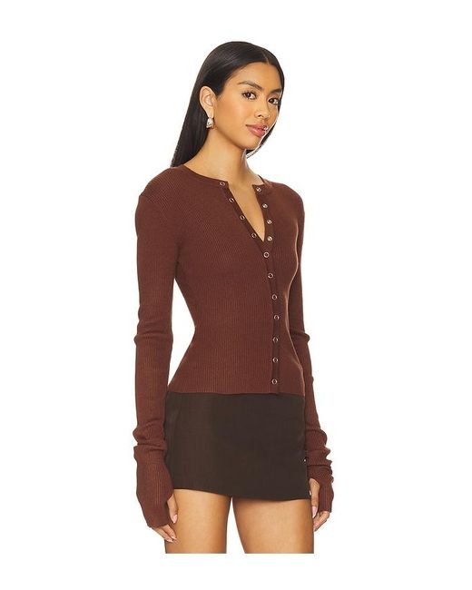 Lioness Ivy League トップ Brown