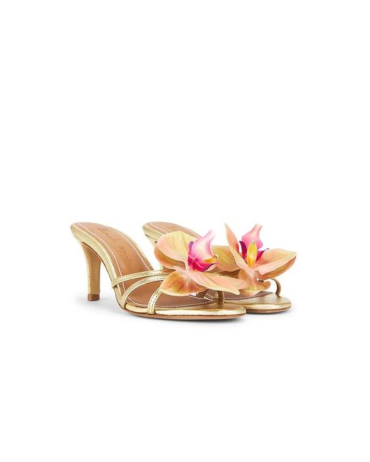 Alameda Turquesa Cecily ヒール Pink