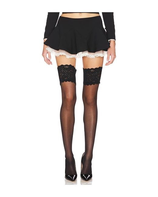 LOBA Black Rock Azalea Mini