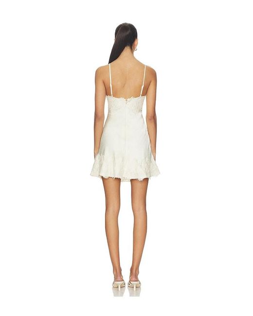 Bardot White Alerie Lace Satin Mini Dress