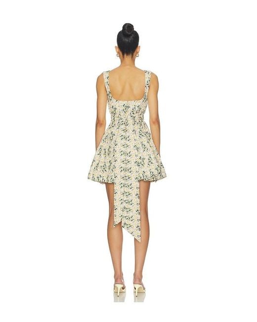 Clea Multicolor Rue Mini Dress