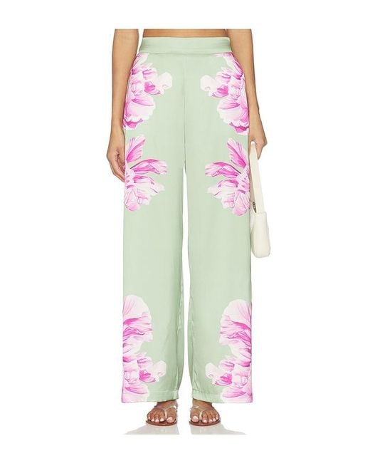 MISA Los Angles Multicolor Izzie Pant