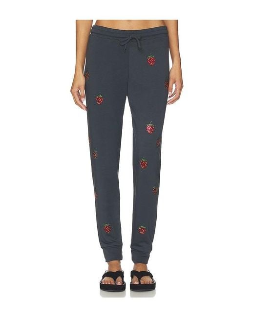 Lauren Moshi Blue Jess Lounge Pant