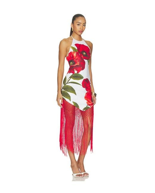 Alice + Olivia Red Mallory Halter Neck Fringe Hem Midi Dress