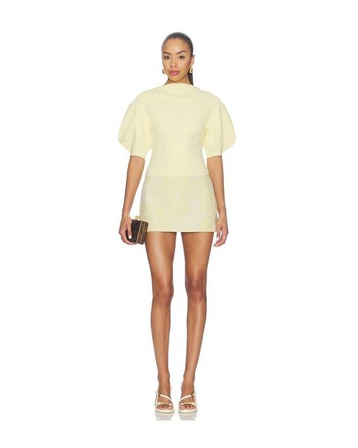 Cult Gaia Multicolor Savoy Skirt