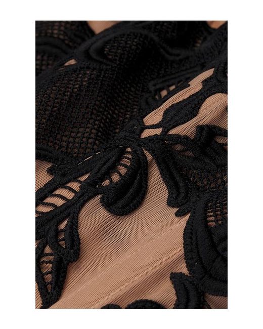 Halo Black Wing Lace Corset