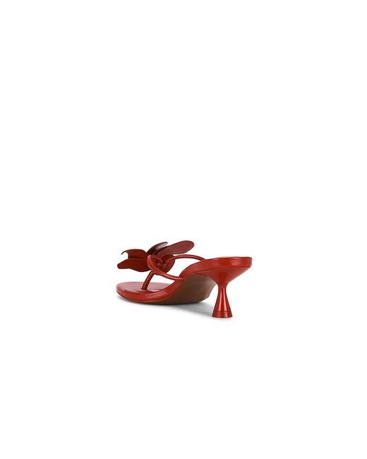 Cult Gaia Multicolor Addison Sandal