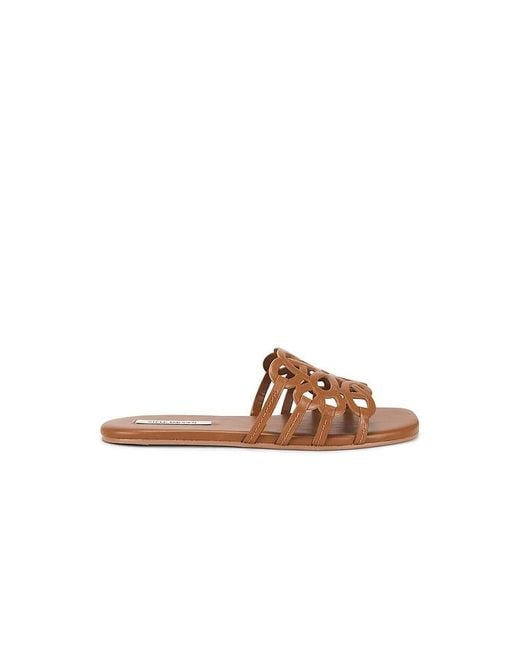 Steve Madden Brown Lotus Sandal