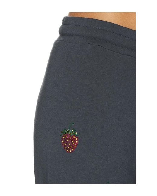Lauren Moshi Blue Jess Lounge Pant