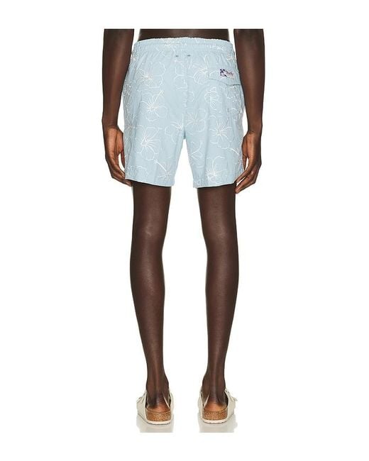 Trunks Surf & Swim Blue Sano 6.5 Swim Short for men
