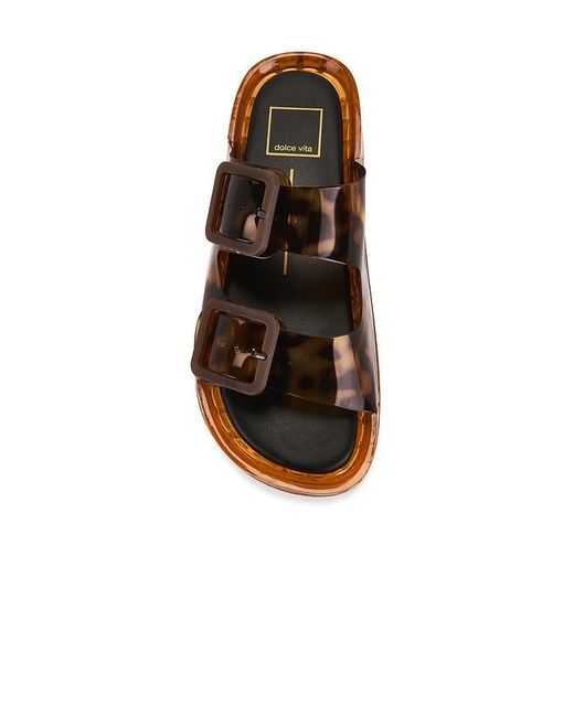 Dolce Vita Brown Julio Sandal