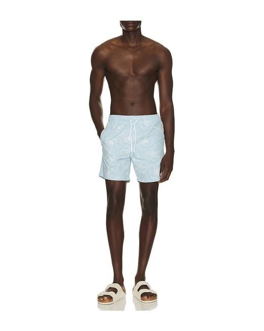 Trunks Surf & Swim Blue Sano 6.5 Swim Short for men