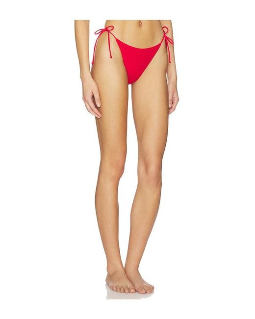 ELCE Multicolor Alba Bottom