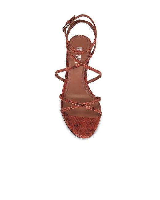 Paris Texas Multicolor Nina Lace Up Sandal 50
