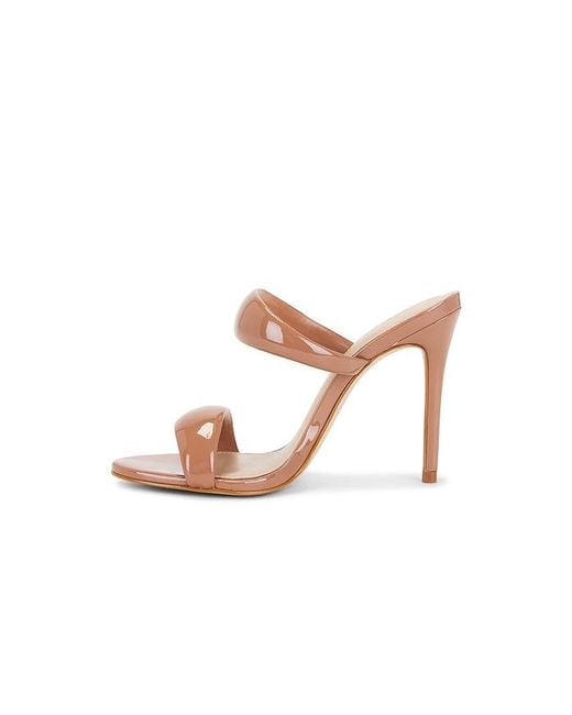 Steve Madden Multicolor Saturn Sandal