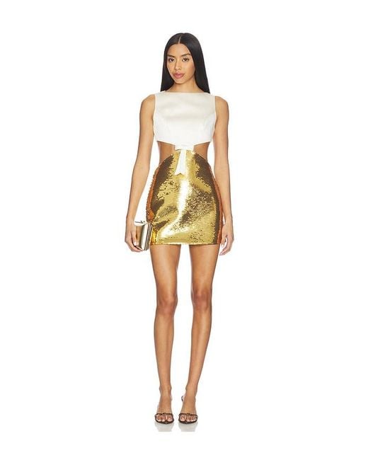 retroféte Multicolor Zevy Dress