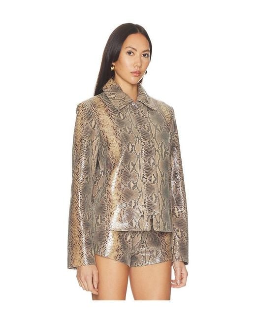Chaqueta Blouson Leather En Color Marrón Talla (También En M, S, Xs) Mimchik de color Brown